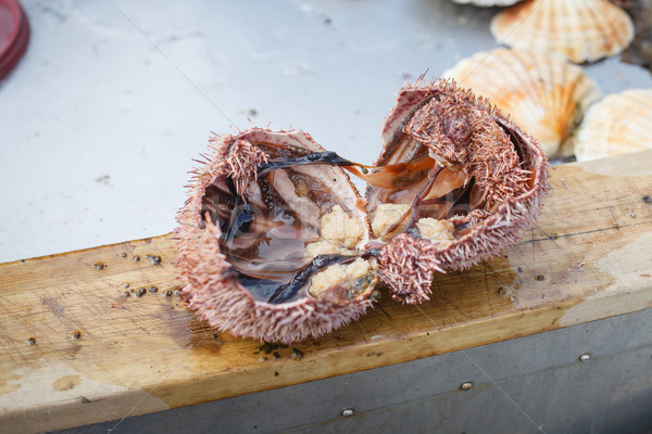 sea urchin cut in half Stock photo © svetography