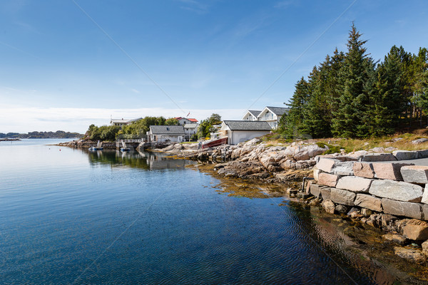 Beautiful view on nowegian fjords and seaside houses Stock photo © svetography
