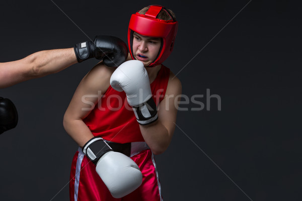 young boxer is being punched Stock photo © svetography