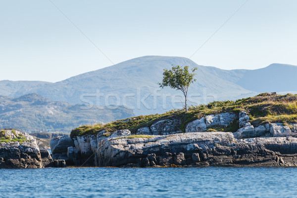 Beautiful view on norwegian fjords Stock photo © svetography