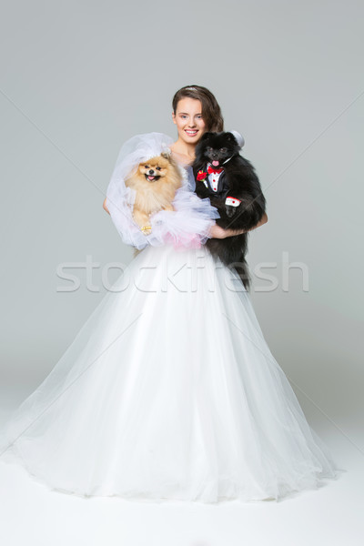 Foto d'archivio: Sposa · ragazza · cane · wedding · Coppia · bella