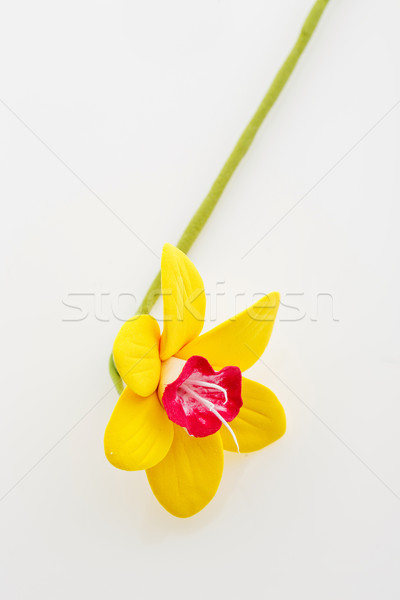 美しい 黄色 ハンドメイド 芸術 粘土 クローズアップ ストックフォト © svetography