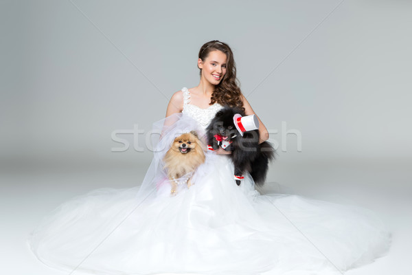 Stock fotó: Menyasszony · lány · kutya · esküvő · pár · gyönyörű