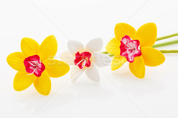 Beautiful narcissus flowers Stock photo © svetography