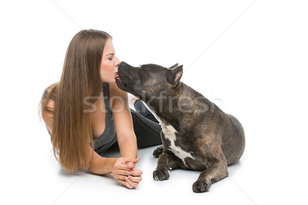 Beautiful girl with grey stafford terrier Stock photo © svetography