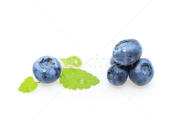 blueberry berries isolated on white background Stock photo © svetography
