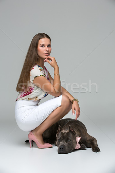 Beautiful girl with grey stafford terrier Stock photo © svetography