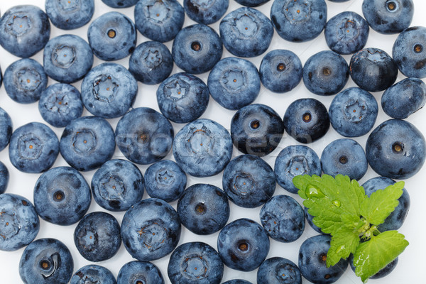 blueberry berries isolated on white background Stock photo © svetography