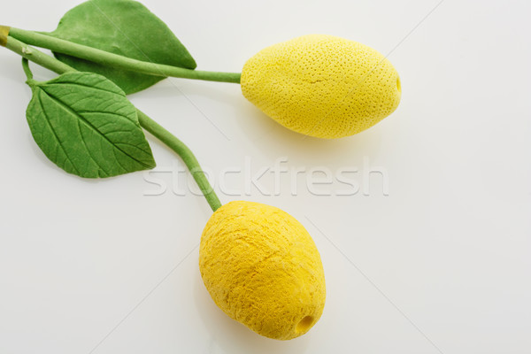 Stock photo: Lemon twigs over white background