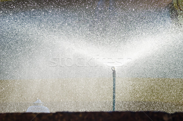 Giardino sprinkler acqua parco primavera agricoltura Foto d'archivio © sweetcrisis