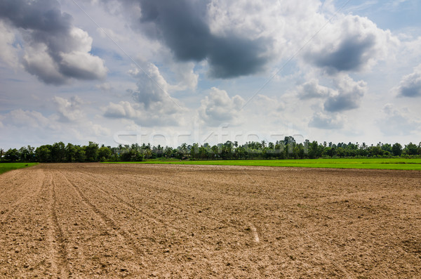 Ploughed field Stock photo © sweetcrisis