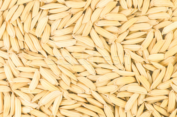 Paddy rice Stock photo © sweetcrisis