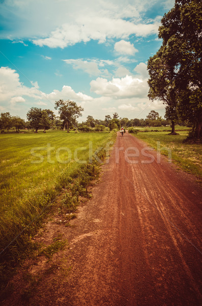 Estrada solo grama prado ver Foto stock © sweetcrisis