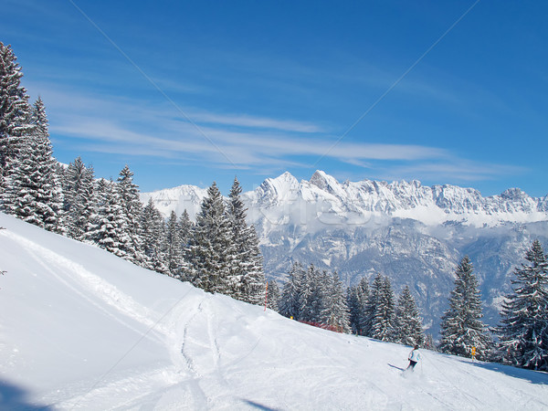 スキー スロープ リゾート スポーツ 山 スキー ストックフォト © swisshippo