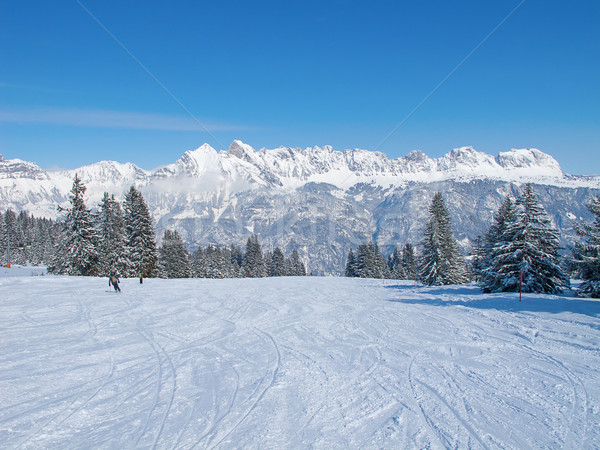 Winter in the alps Stock photo © swisshippo