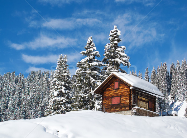 Stock foto: Winter · Alpen · Schweiz · Himmel · Haus · Baum