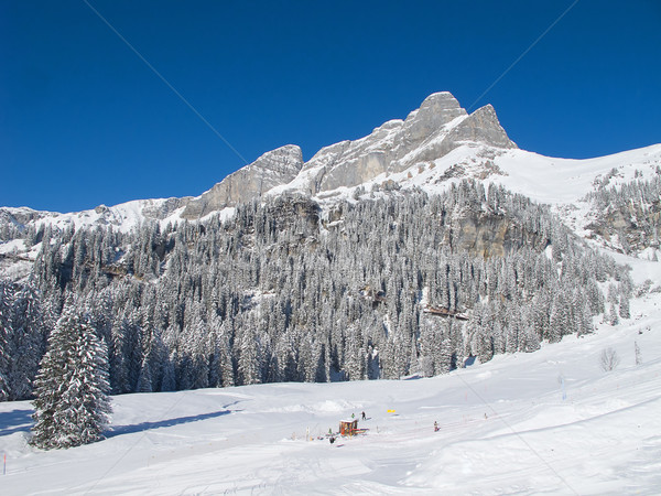 Skiing slope Stock photo © swisshippo