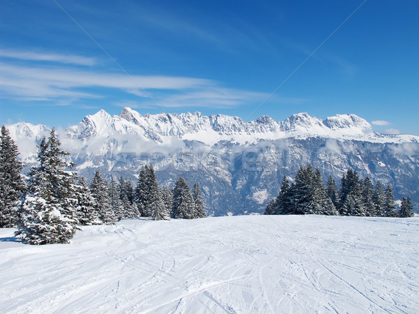 Winter in the alps Stock photo © swisshippo
