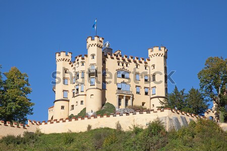 Hoheschwangau castle Stock photo © swisshippo