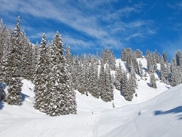 スキー スロープ リゾート スポーツ 山 スキー ストックフォト © swisshippo