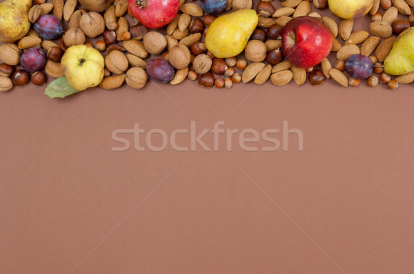 Jesienią owoce orzechy brązowy kopia przestrzeń organiczny Zdjęcia stock © szabiphotography