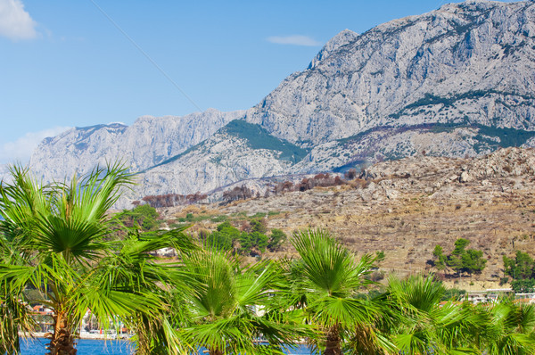 [[stock_photo]]: Région · Croatie · blanche · montagnes · palmiers