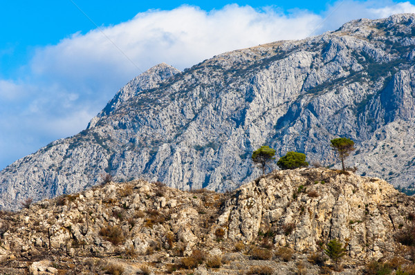 Adriatic coastal region in Dalmatia, Croatia with white, rocky m Stock photo © szabiphotography