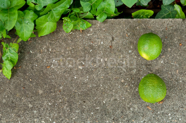 Surowy szary kamień tle wapno Zdjęcia stock © szabiphotography