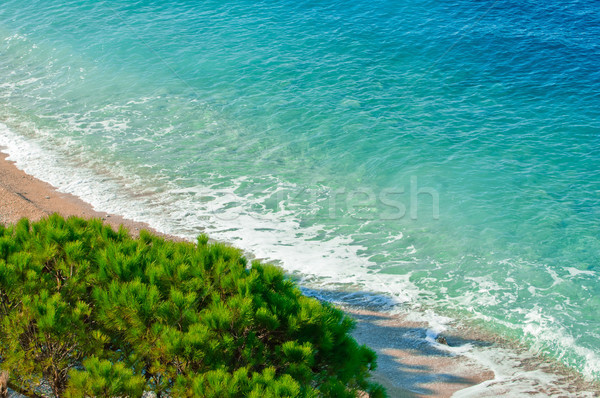 Stok fotoğraf: Deniz · görmek · çakıl · plaj · turkuaz · su