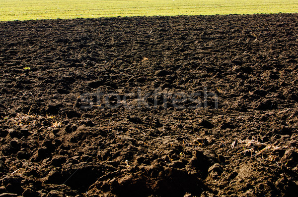 Ploughed soil in agricultural field arable land Stock photo © szabiphotography