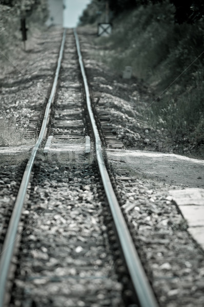 Railway tracks Stock photo © szabiphotography