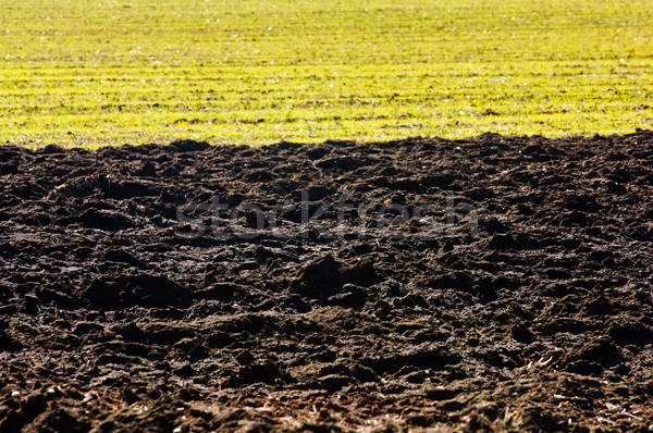 Ploughed soil in agricultural field arable land Stock photo © szabiphotography