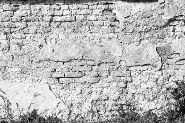 Grunge starych murem kopia przestrzeń monochromatyczny Zdjęcia stock © szabiphotography