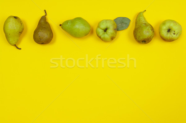 Pears in row on yellow background with copy space Stock photo © szabiphotography