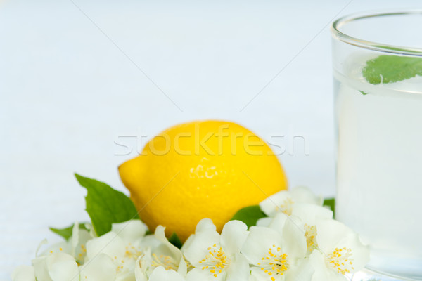 Lemonade with fresh lemon and mint leaves with copy space Stock photo © szabiphotography