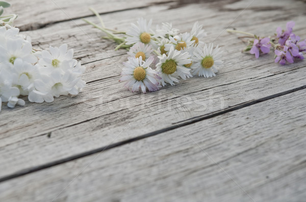 Small bunches of flowers on wooden background copy space Stock photo © szabiphotography