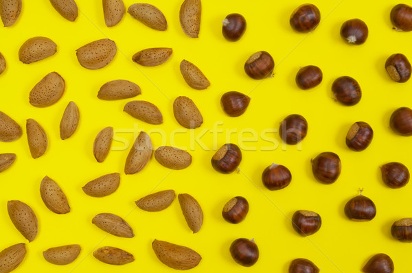 Foto stock: Concha · amarelo · de · volta · topo