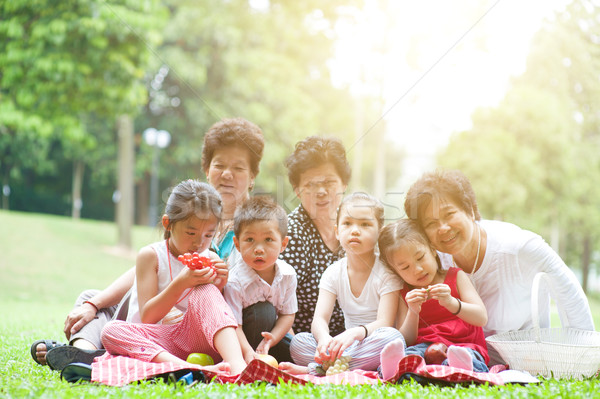 Asiático gerações família parque grupo retrato de família Foto stock © szefei