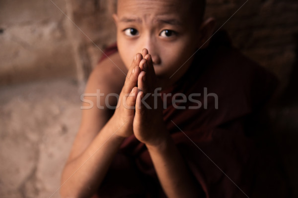 Buddhist novice monks praying Stock photo © szefei