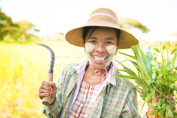 Traditional mature Burmese female farmer Stock photo © szefei