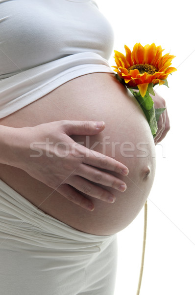 Nuova vita giovani madre girasole bianco Foto d'archivio © szefei