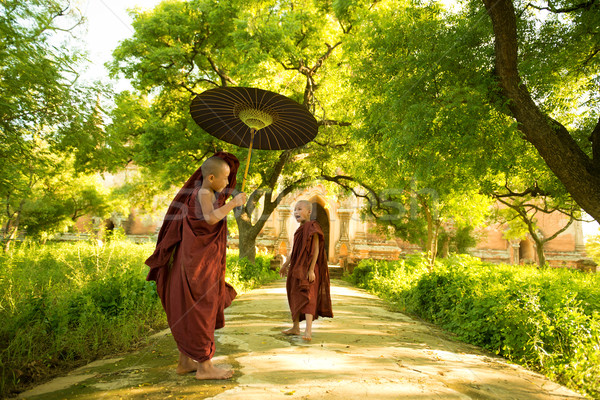 Young Buddhist novice monks Stock photo © szefei