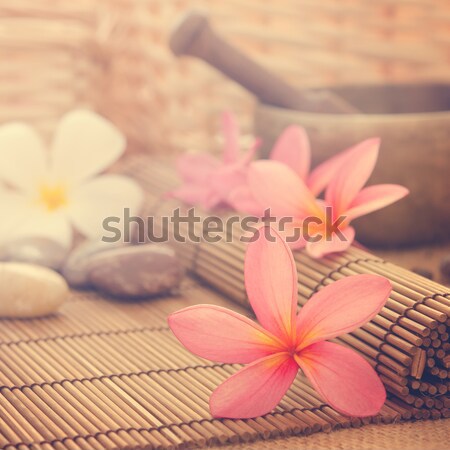 Frangipani flowers in retro style Stock photo © szefei