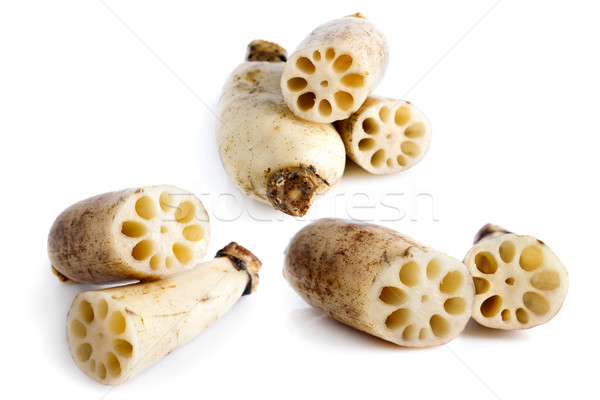 Lotus Roots Stock photo © szefei