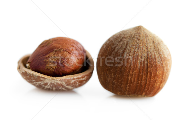 Hazelnut Stock photo © szefei