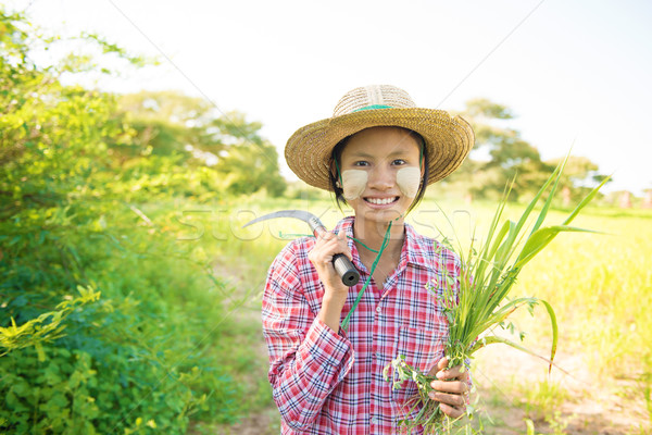 Traditional young Myanmar female farmer Stock photo © szefei