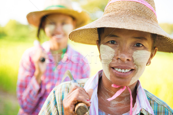 Myanmar farmer Stock photo © szefei