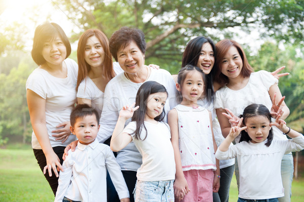 Foto stock: Grupo · asiático · gerações · família · ao · ar · livre · alegre