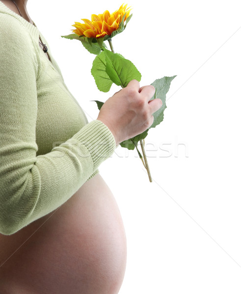 Nuova vita giovani madre girasole bianco Foto d'archivio © szefei