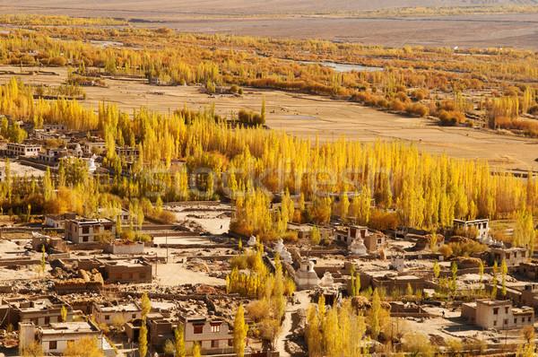 Leh village landscape in northen India Stock photo © szefei